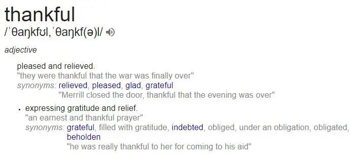 definition of being thankful according to google definition of being thankful according to google