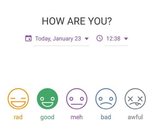 daylio review 5 mood emoji scale