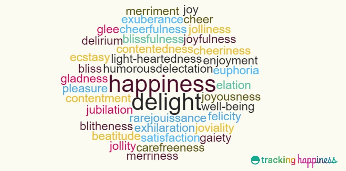 what happiness means essay