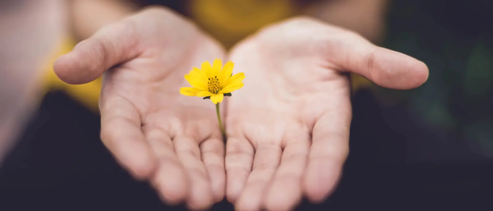 how to forgive someone who hurt you emotionally how to forgive someone who hurt you emotionally