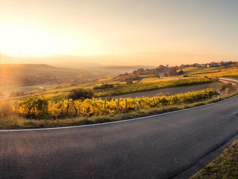 Happiness is Not a Destination: How to Enjoy the Journey — HavingTime