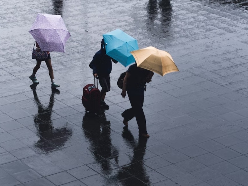 people walking under umbrella in rain