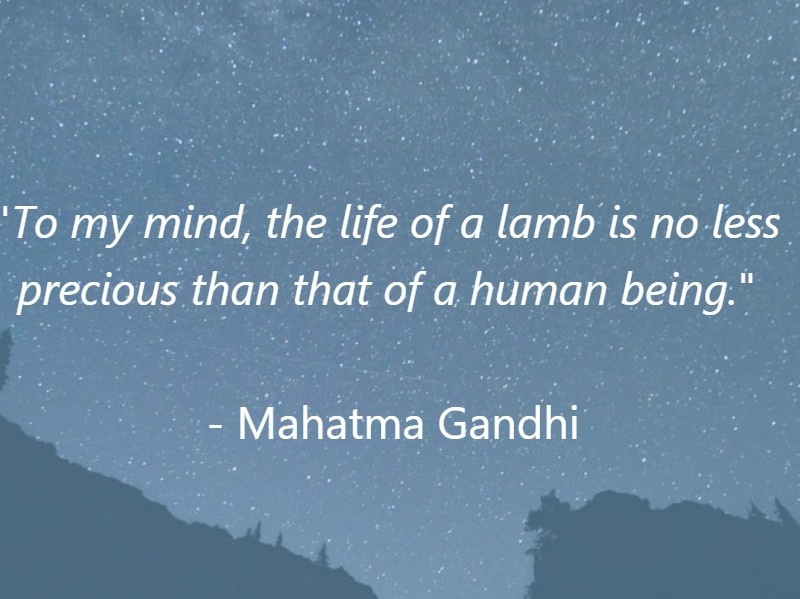 29 Quotes About Kindness To Animals (Inspiring & Handpicked) 29 Quotes About Kindness To Animals (Inspiring & Handpicked)