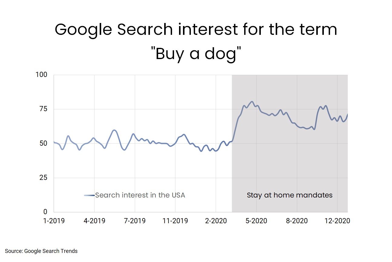 Google Search Trends Buy A Dog 2019-2020
