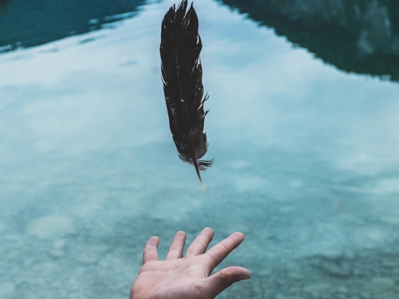 hand letting go of feather