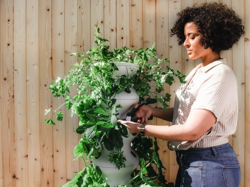 woman gardening