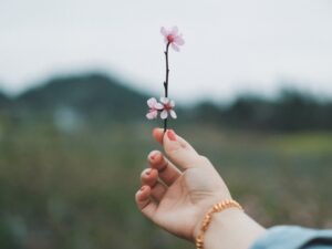 person holding flower to horizon