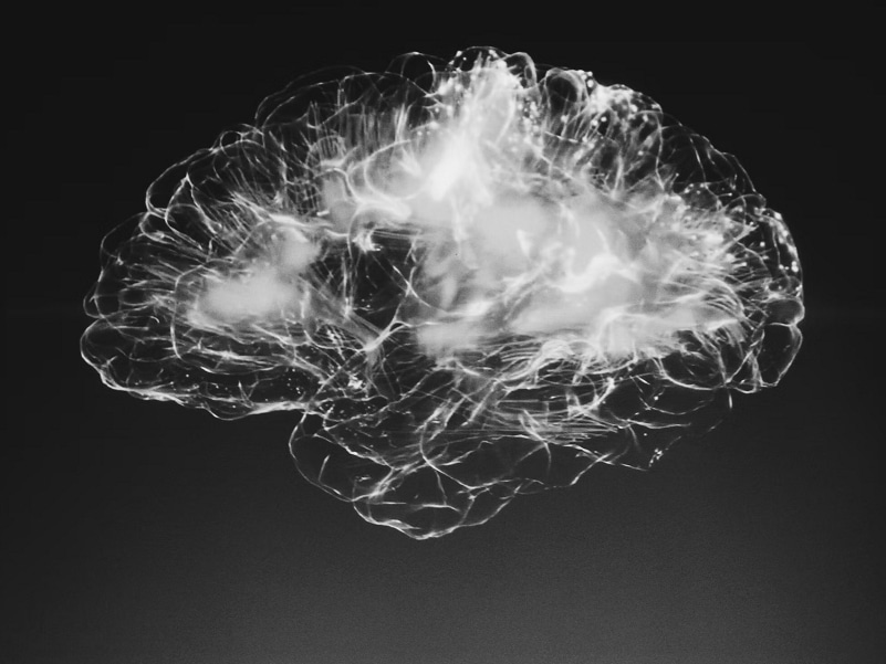 black white picture of human brain